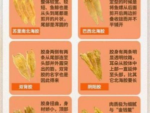 九一果冻制品厂杨柳，口味丰富，口感爽滑，深受消费者喜爱