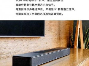 家里没人叫大声一点好不好—— X 品牌音响，震撼音效，让你的家庭娱乐更具沉浸感