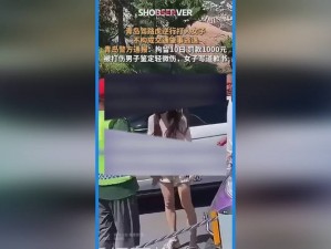 不盖被子打牌生孩子，一款让你体验全新乐趣的软件