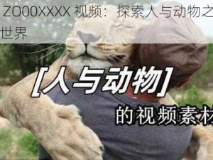 人与 ZO00XXXX 视频：探索人与动物之间的奇妙世界