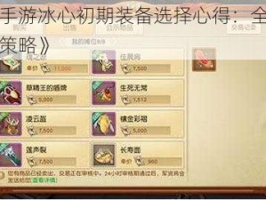 《天下手游冰心初期装备选择心得：全面解析与实战策略》