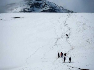 雪域终点：解锁成就，见证雪居之地的辉煌成就之路