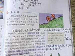 数码兽之王病毒入侵活动解析：探索病毒传播规则与应对机制揭秘