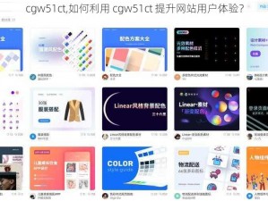 cgw51ct,如何利用 cgw51ct 提升网站用户体验？