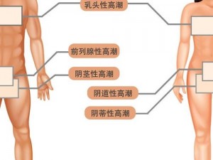 亚洲做受高潮男男,亚洲做受高潮男男的性技巧有哪些？