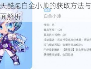 关于天天酷跑白金小帅的获取方法与使用体验的全面解析