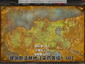 魔兽世界怀旧服：宗师级采药技艺——采药300后的进阶学习指南