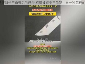 犯了错被罚坐三角架后的感受,犯错被罚坐三角架，是一种怎样的感受？