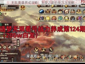 无双英雄养成攻略：主宰之路的技巧与策略