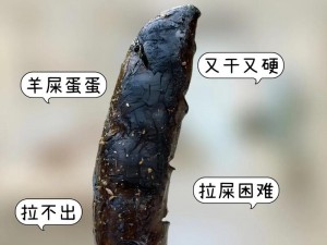 天然無添加、安全放心的孕妇大便，可直接食用