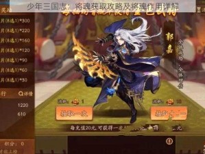 少年三国志：将魂获取攻略及将魂作用详解