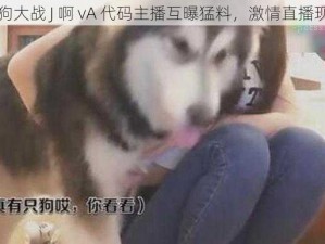 人狗大战 J 啊 vA 代码主播互曝猛料，激情直播现场