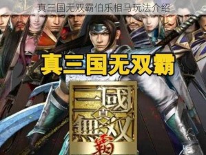 真三国无双霸伯乐相马玩法介绍