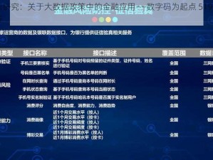 基于最新研究：关于大数据政策中的金融应用——数字码为起点 519679的探索与解析