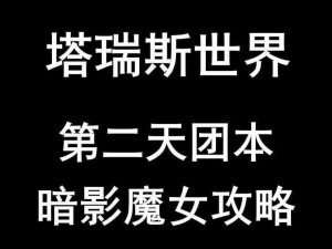 《塔瑞斯世界：暗影魔女团本攻略解析，挑战终极BOSS的战斗策略》