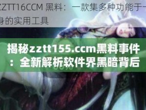 ZZTT16CCM 黑料：一款集多种功能于一身的实用工具