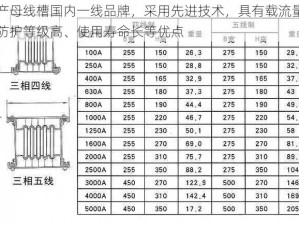 国产母线槽国内一线品牌，采用先进技术，具有载流量高、防护等级高、使用寿命长等优点