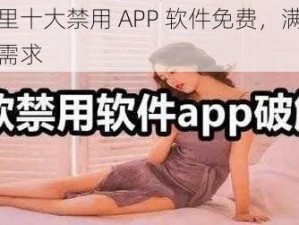 最新夜里十大禁用 APP 软件免费，满足你深夜娱乐需求