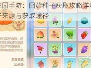 摩尔庄园手游：囧菇种子获取攻略详解：探索种子来源与获取途径