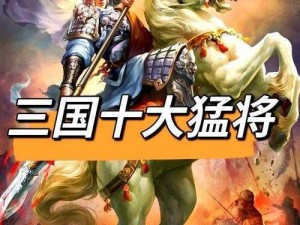 三国大亨独家解析：最强武将实力对比与推荐——谁主沉浮，谁领风骚，揭秘最厉害武将之选