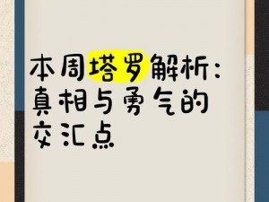 若昕揭示的当下社会热点深度解读：事实与真相的交汇点