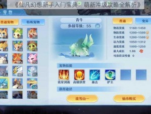 《仙凡幻想新手入门宝典：萌新冲级攻略全解析》