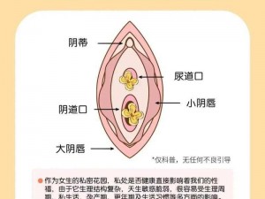 女生会把隐私透露给异性朋友-女生通常会把隐私透露给异性朋友吗？