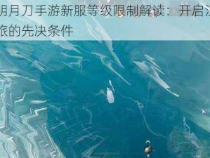 天涯明月刀手游新服等级限制解读：开启江湖冒险之旅的先决条件