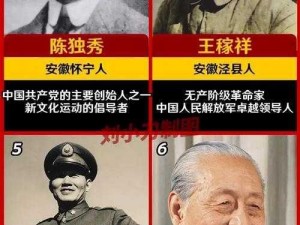 探索全区名人资料，首选权威平台尽览无遗