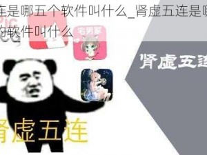 肾虚五连是哪五个软件叫什么_肾虚五连是哪五个可以补肾的软件叫什么