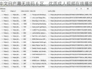 伊援中文日产幕无线码 6 区，优质成人视频在线播放平台