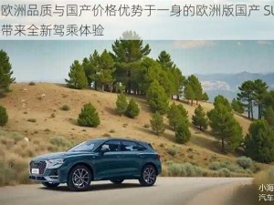 集欧洲品质与国产价格优势于一身的欧洲版国产 SUV，带来全新驾乘体验