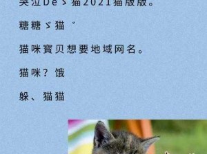 2021 猫咪最新地域网名，助你轻松找到同城猫友