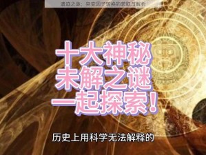 遗迹之谜：突变因子转换的获取与解析