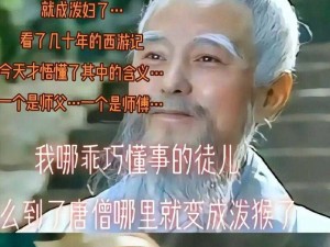 《西游梗传：乐趣无穷，揭秘经典传奇》