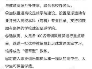 实战十一人足球队伍培养策略详解：技巧训练与团队协作之道