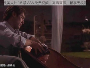 欧美大片 18 禁 AAA 免费视频，高清画质，畅享无极限