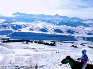 雪域秘境中的防空洞：生存庇护所的位置揭秘