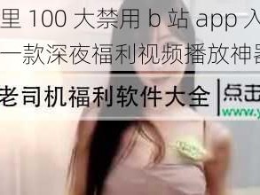 夜里 100 大禁用 b 站 app 入口，一款深夜福利视频播放神器