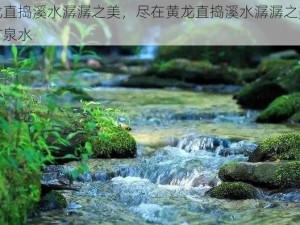 黄龙直捣溪水潺潺之美，尽在黄龙直捣溪水潺潺之美天然矿泉水