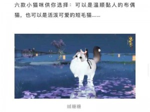 逆水寒手游宠物猫获取攻略：详细步骤教你如何获得可爱的猫咪伙伴