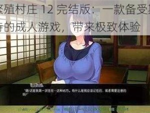 繁殖村庄 12 完结版：一款备受期待的成人游戏，带来极致体验