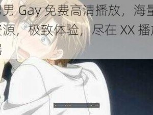 男男 Gay 免费高清播放，海量资源，极致体验，尽在 XX 播放器