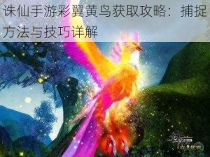 诛仙手游彩翼黄鸟获取攻略：捕捉方法与技巧详解