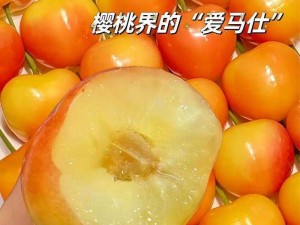 黄蜜大樱桃和红蜜的区别：口感不同，黄蜜更甜，红蜜较酸