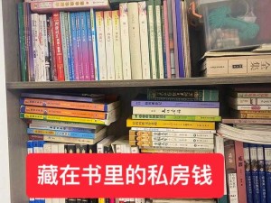 找到老婆私房钱的秘密：揭秘私房钱藏匿新线索，独家截图预览揭秘真相