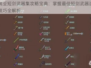 泰拉瑞亚短剑武器集攻略宝典：掌握最佳短剑武器选择与战斗技巧全解析