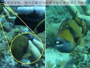 深海奥秘探索：潜水员戴夫与银泰坦扳机鱼的捕捉攻略揭秘