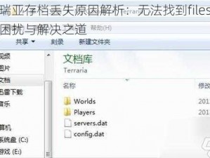 泰拉瑞亚存档丢失原因解析：无法找到files文件夹的困扰与解决之道