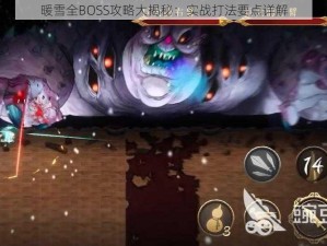 暖雪全BOSS攻略大揭秘：实战打法要点详解